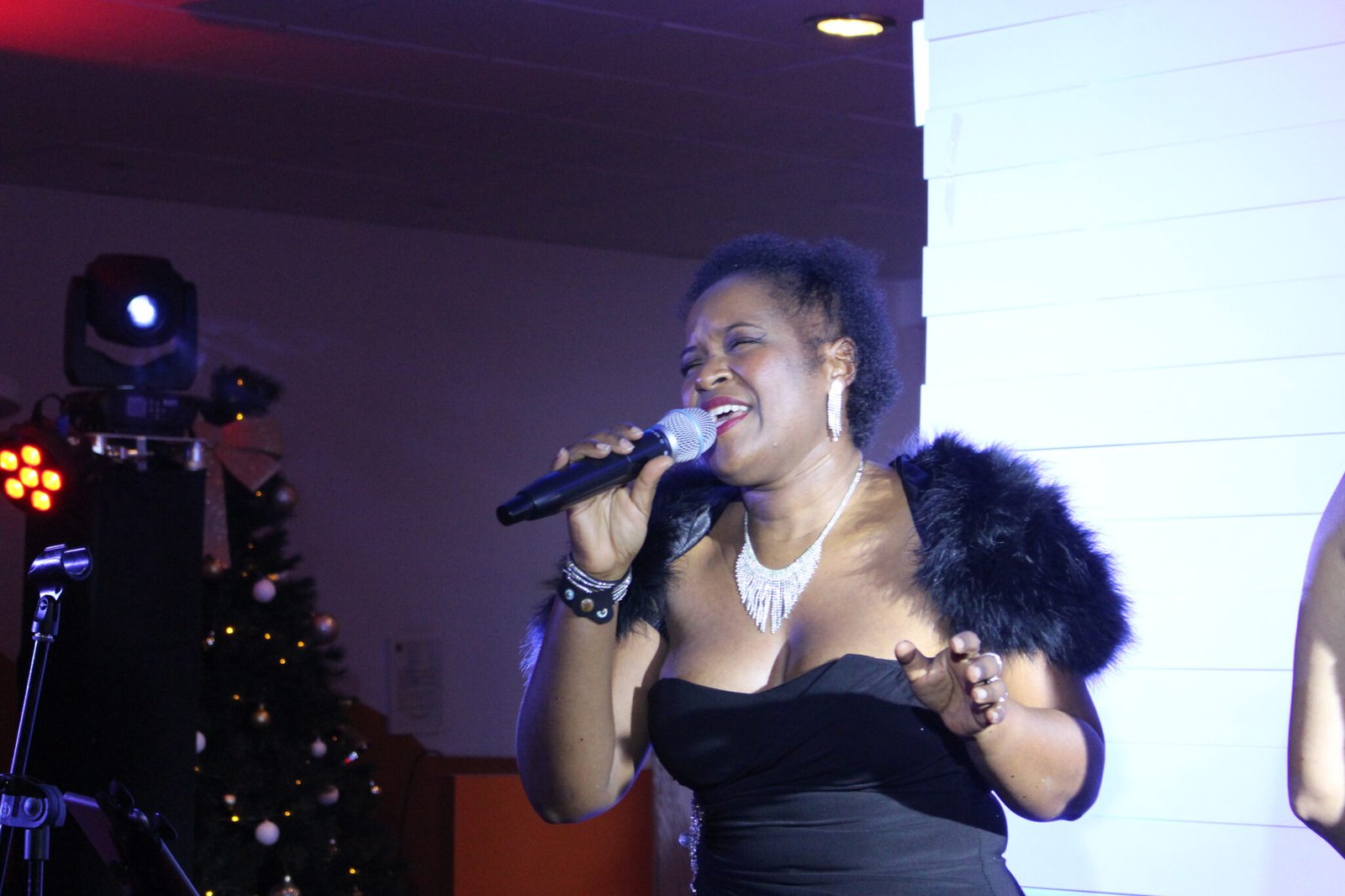 chanteuse PMN EVENT